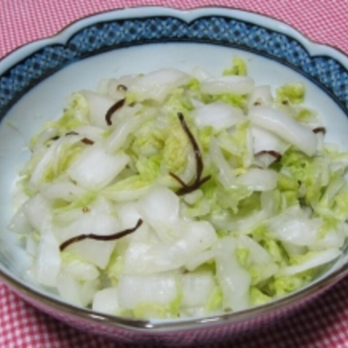 白菜の浅漬け その2 昆布茶編 レシピ 作り方 By Rie 楽天レシピ 白菜の浅漬け その2 昆布茶編 レシピ 作り方 By Rie 楽天レシピ